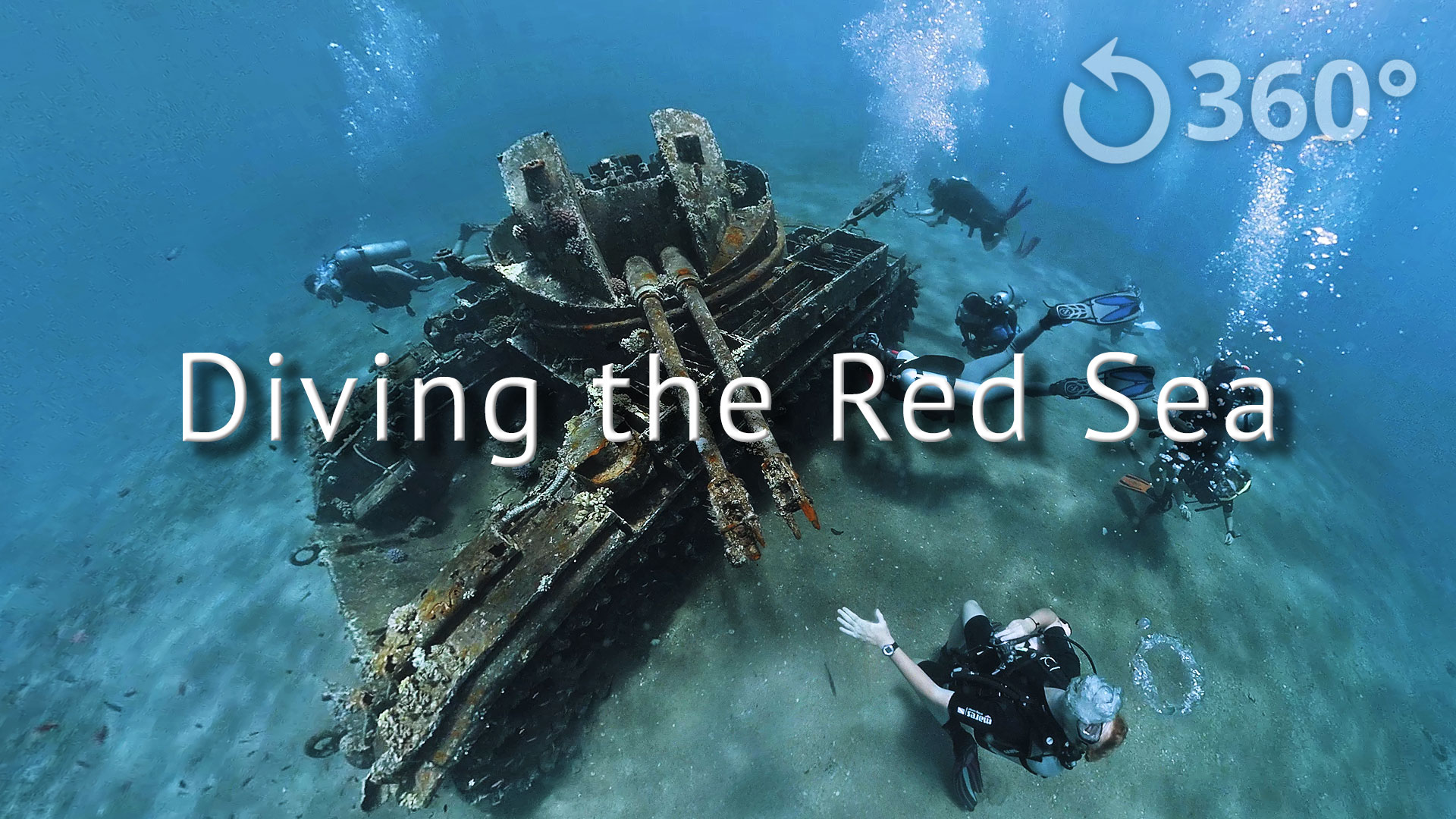 Diving the Red Sea 360° | 360 Labs