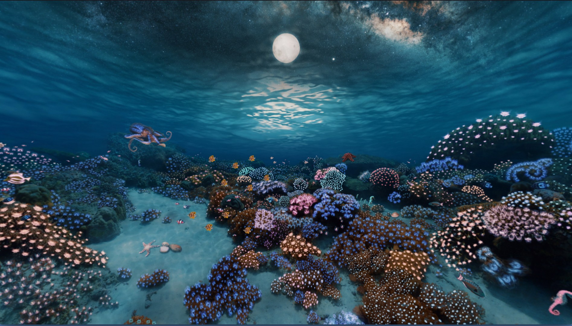 Inspiration: 360° Underwater Coral Garden | After Effects + FLUX