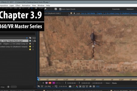 Chapter 3.9: Removing a 360 Camera Rig from 360 Footage in After Effects | 360/VR Master Series