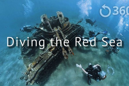 Diving the Red Sea 360° | 360 Labs