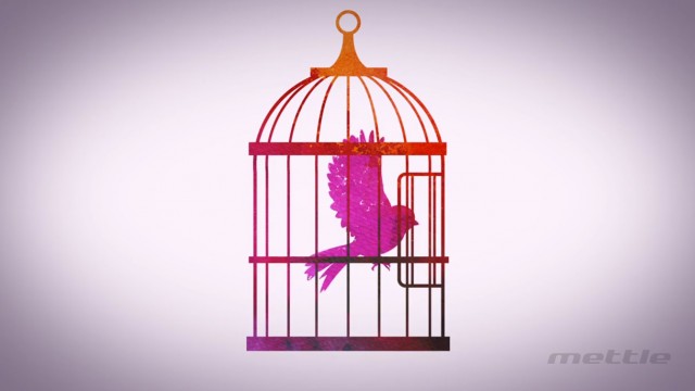 Canary Bird Cage